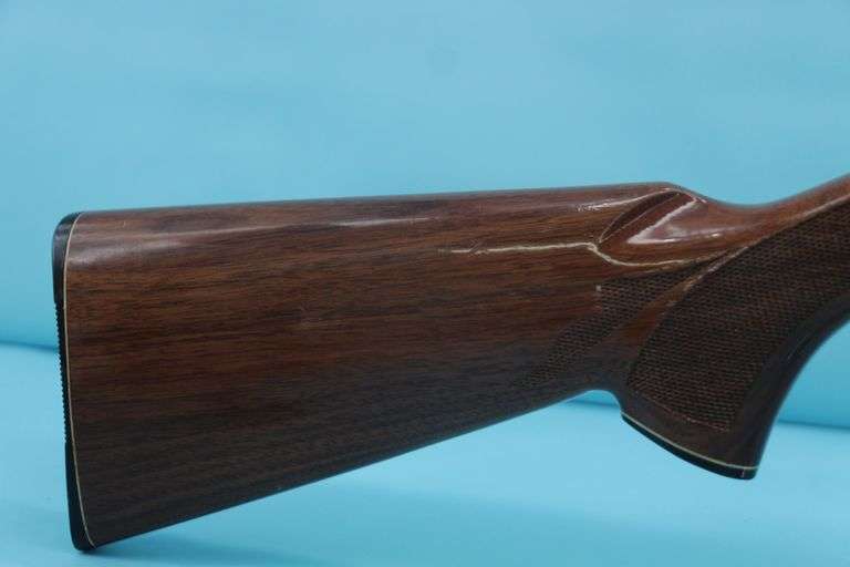 Remington 1100 .410