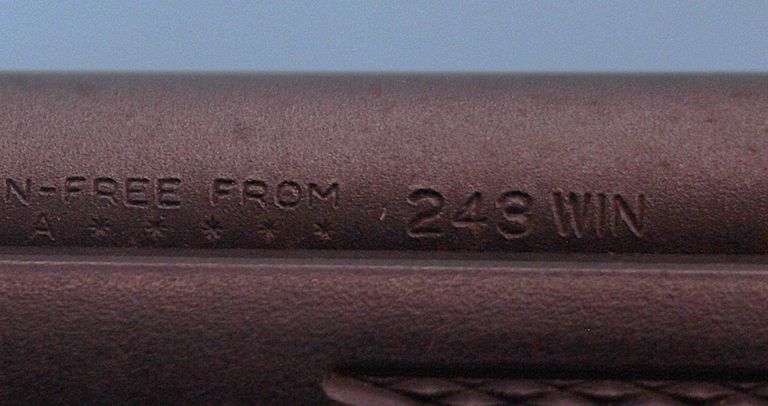 Remington 700 .243 with scope