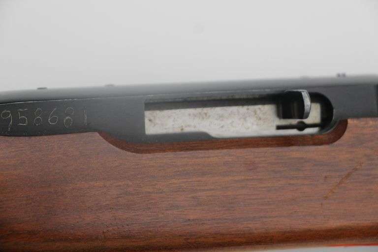 Ruger 10/22    .22