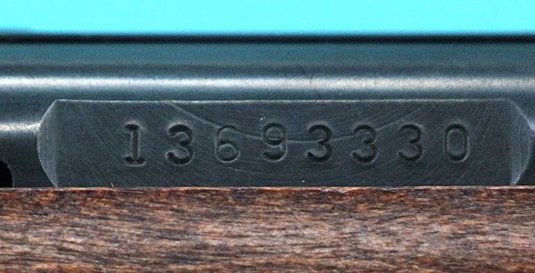 Marlin 25MB   22wmr