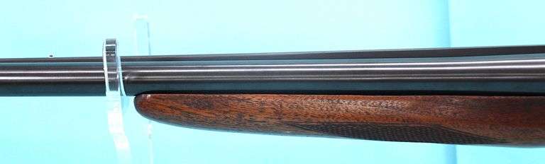 Springfield  20 ga double