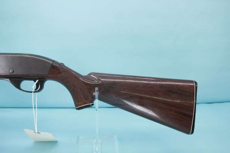 Remington Nylon 10C  Mohawk Brown Cracked stock 22