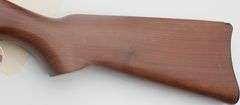 Ruger 10/22    .22