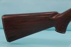 Remington Nylon 10C  Mohawk Brown Cracked stock 22