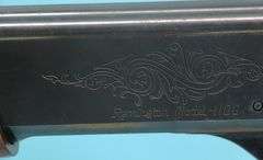 Remington 1100 12 ga Mod.