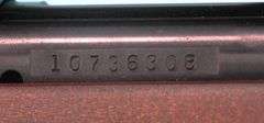 Marlin Model 25N   .22 with scope