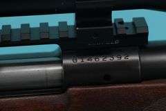 Winchester 70XTR   .264 mag with Bushnell wide angle scope