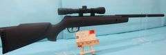 Gamo Big Cat  1200 .177 Air Rifle NO PAPERWORK