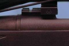 Remington 700 .243 with scope