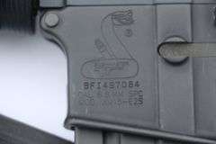 Bushmaster XM15-E2s  6.8 mm  with scope