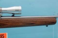 Ruger 10/22 22 with 3-9x32 scope