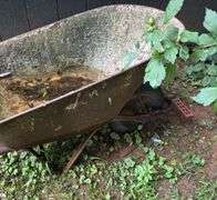 Wheel barrow
