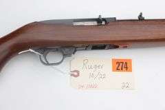 Ruger 10/22    .22