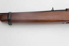 Ruger 10/22    .22