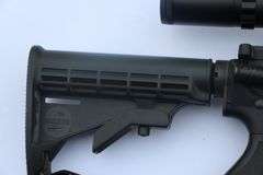Bushmaster XM15-E2s  6.8 mm  with scope