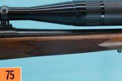 Remington 700 220 Swift with scope