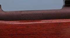 Winchester 70 Deluxe  .225 (1966) with  4-12x50  scope