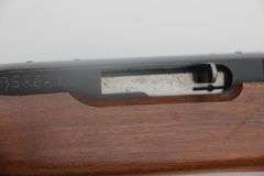 Ruger 10/22    .22