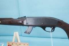 Remington Nylon 10C  Mohawk Brown Cracked stock 22