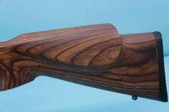 Ruger 10/22 22 with 3-9x32 scope