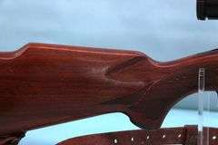 Winchester 70 Deluxe  .225 (1966) with  4-12x50  scope