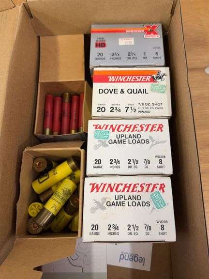 100 rounds 20ga