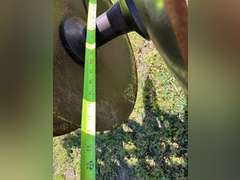 12' Miller Offset Disc