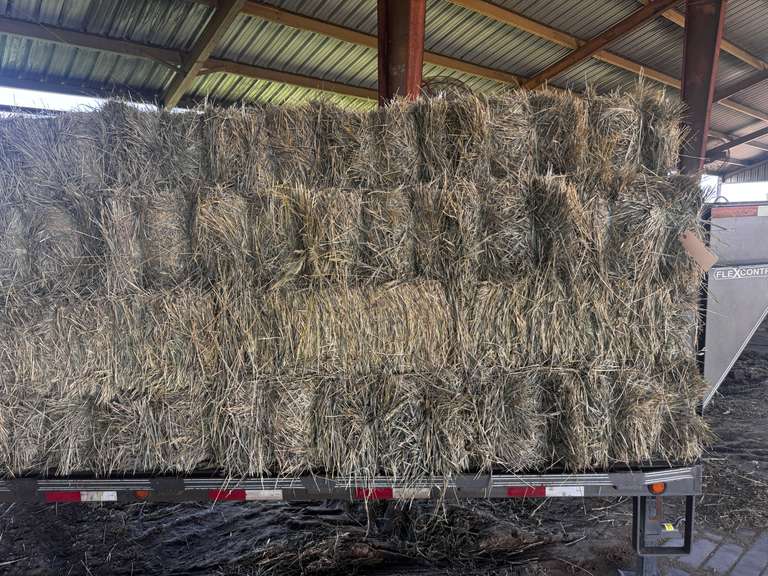 (20) 2025 60lb. Square Bales Brome Hay