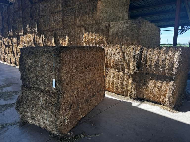 (36) 3' x 4' Alfalfa Bales
