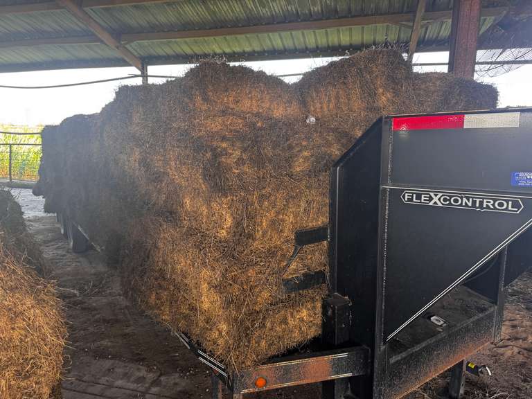 (20) 2024 Cut 30lb. Alfalfa Bales