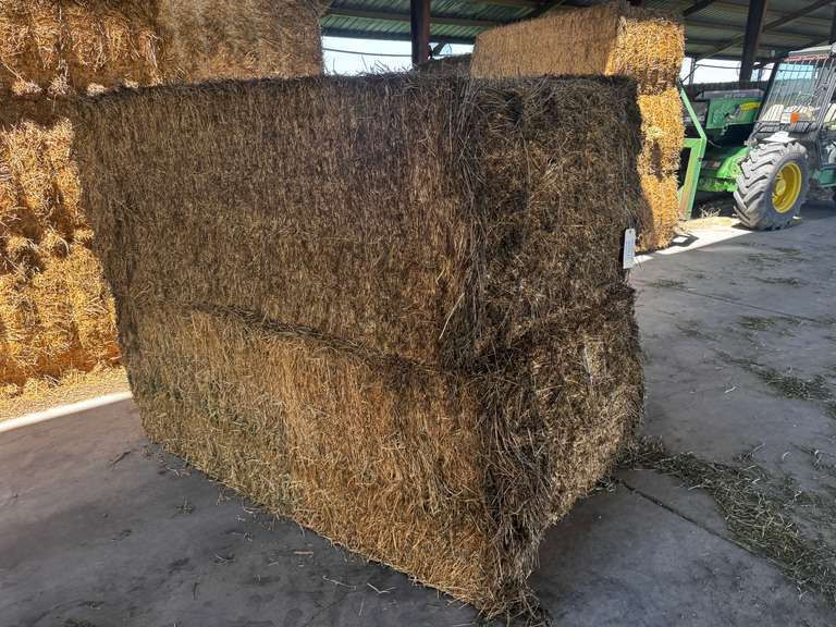 (36) 3' x 4' Alfalfa Bales