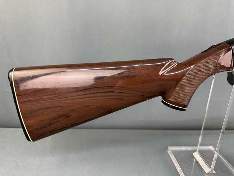 Remington 10C Mohawk 22LR Semi-Auto Rifle #2376098