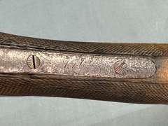 Colt Side by Side Shotgun #7764