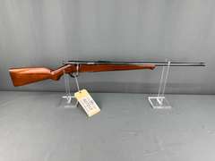 Savage Sporter 22LR Bolt Rifle - No Mag #119808