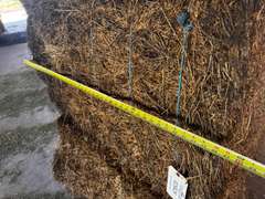 (36) 3' x 4' Alfalfa Bales