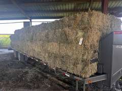 (20) 2025 60lb. Square Bales Brome Hay