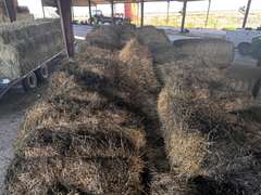 (20) 2024 Cut 30lb. Alfalfa Bales