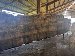 (20) 2024 Cut 30lb. Alfalfa Bales