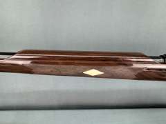 Remington 10C Mohawk 22LR Semi-Auto Rifle #2376098