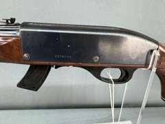 Remington 10C Mohawk 22LR Semi-Auto Rifle #2376098