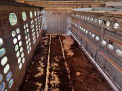 2005 Wilson 53' Aluminum Livestock Trailer