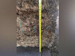 (36) 3' x 4' Alfalfa Bales