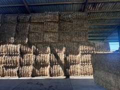 (36) 3' x 4' Alfalfa Bales