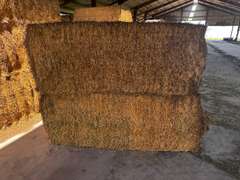(36) 3' x 4' Alfalfa Bales