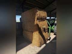 (36) 3' x 4' Alfalfa Bales