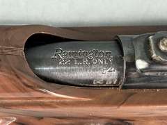 Remington 10C Mohawk 22LR Semi-Auto Rifle #2376098