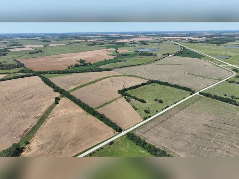 Tract 2: 54.3± Acres