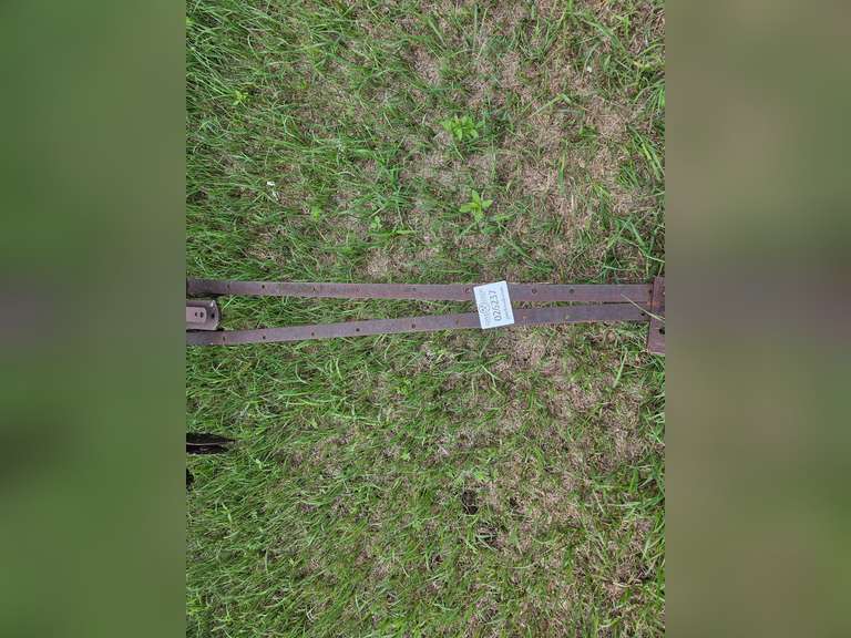 Metal Wheel Rake