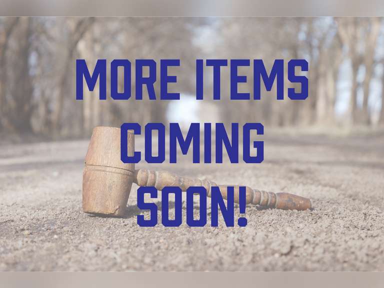 February 21st, 2026 Simulcast Sporting Goods LIVE & Online Auction