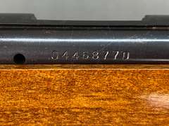 Marlin 25MN 22WMR Bolt Action Rifle #04468770